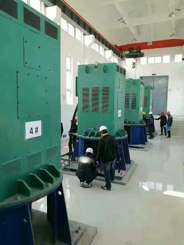 怒江某污水处理厂使用我厂的立式高压电机安装现场